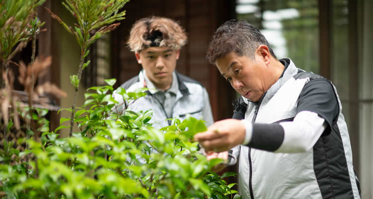 植友造園土木の庭づくり