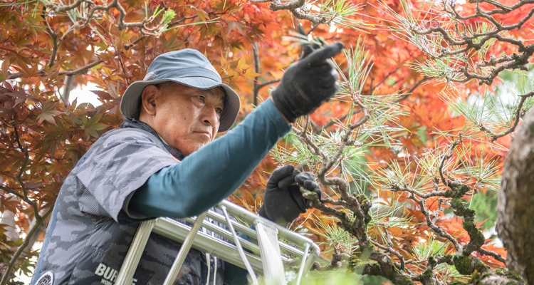剪定・草刈りについて