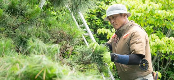 植友造園土木のこだわり