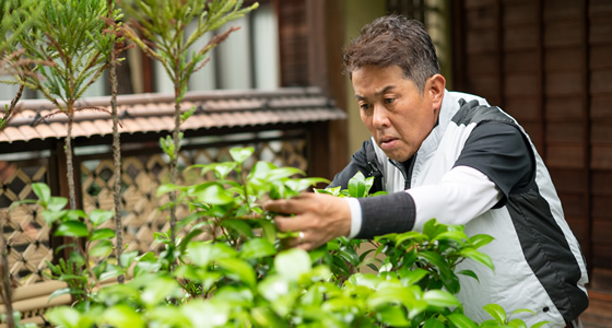 剪定・草刈り