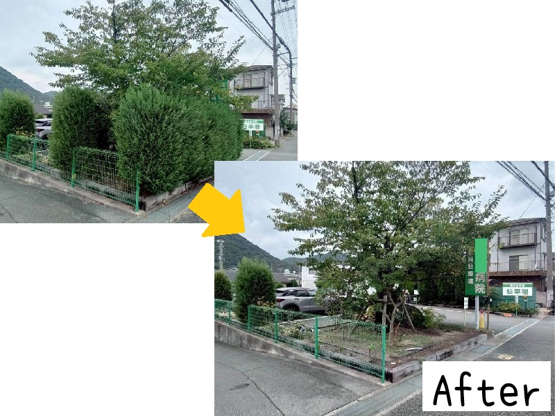 年間管理で病院の緑を健やかに維持04