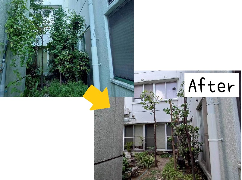 年間管理で病院の緑を健やかに維持06